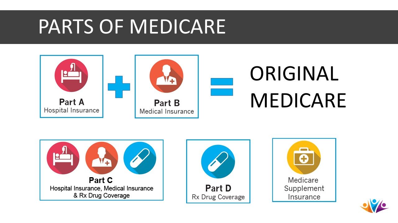 Read more about the article What Seniors Need to Know About Medicare Part B Enrollment Penalties